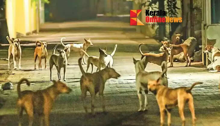 More than 60 stray dogs were housed at home, and locals protested because they could not bear the stench.