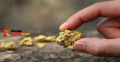  gold reserves in the Nilambur Valley