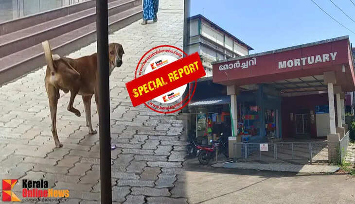 dead master will return