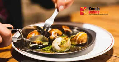 Snails worth Rs 93.6 lakh stolen from farm in northern France