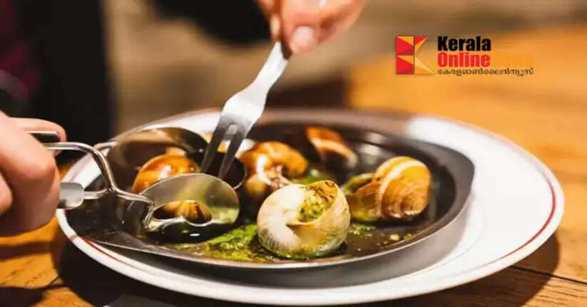 Snails worth Rs 93.6 lakh stolen from farm in northern France