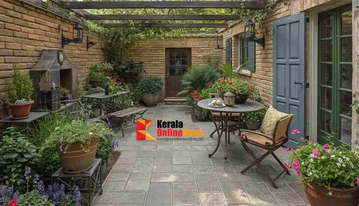Terrace gardening is becoming a trend; let's bring greenery to pots.