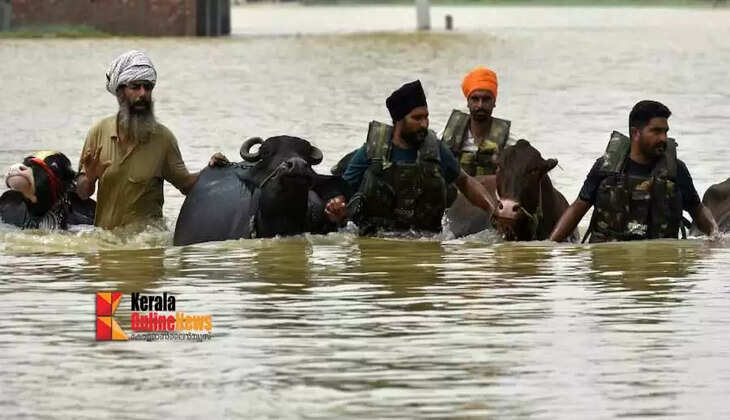 flood