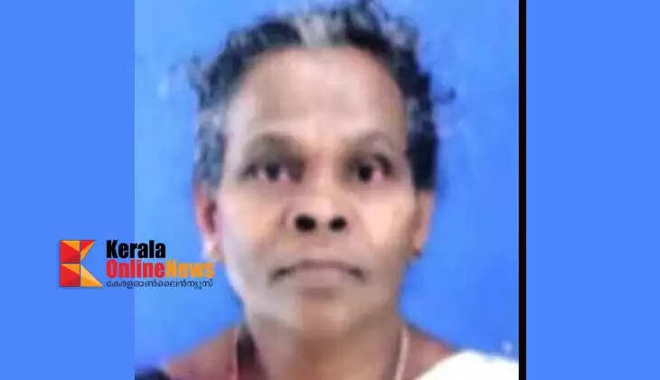 Elderly woman tragically dies after being hit by bus while crossing road in Perumpadav