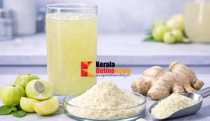Gooseberry Ginger Juice