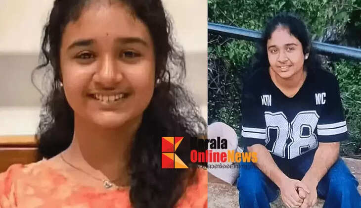 Extensive search underway for Palakkad native who went missing while on a family vacation; Special task force formed