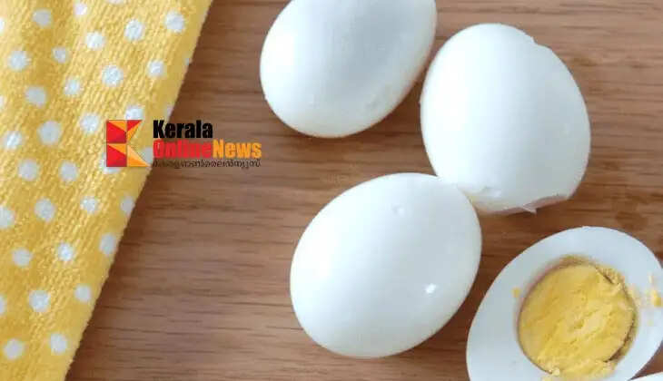 egg