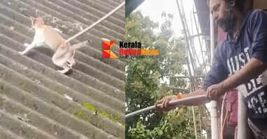 Mark activist Ranjith Narayanan rescues a starving cat that got trapped on the roof of the Kannur Railway Quarters building