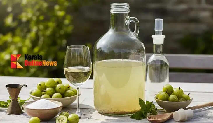 healthygooseberrywine