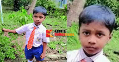 A five-year-old boy died of rabies after being bitten by a stray dog ​​on Payyambalam Road