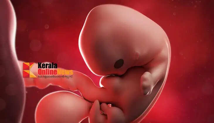 Three-month-old human embryo found in fridge of flat in Thrissur; kept in box