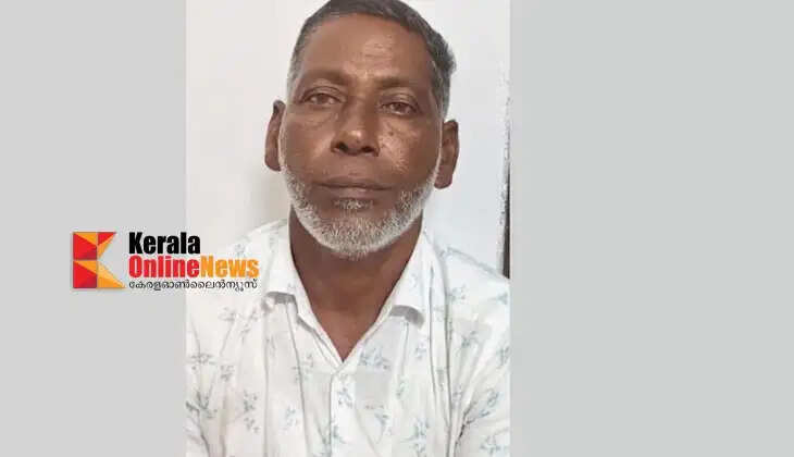 Attempted sexual assault on young woman: 50-year-old man arrested