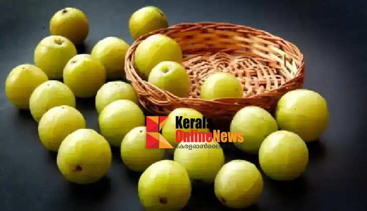 amla