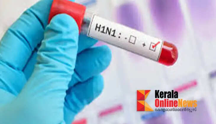 h1n1