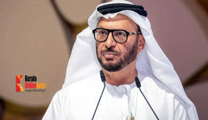 anwar gargash