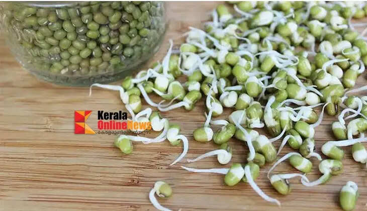 mulappicha payar