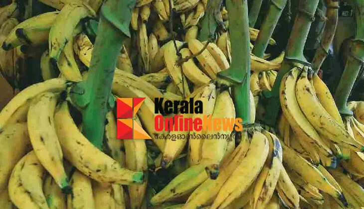 Significant increase in banana prices; Rs 70 to 75 per kg