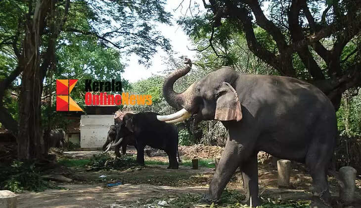 Reliance's multi-specialty veterinary hospital coming up in Guruvayur