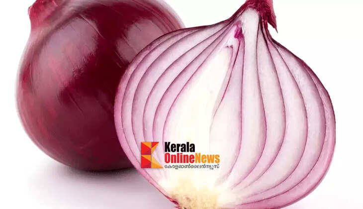 Is there negative energy in onions? Petition in Supreme Court seeking study