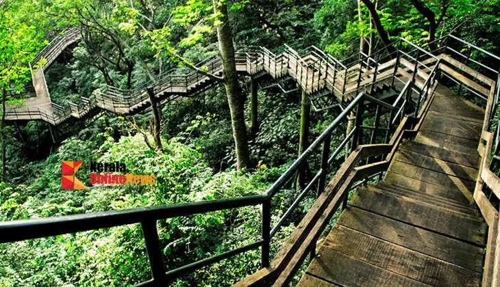 Let's get close to nature...! Eco-tourism centers attract tourists