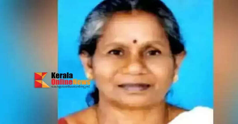 Drone search underway to find missing Leela from Mananthavady