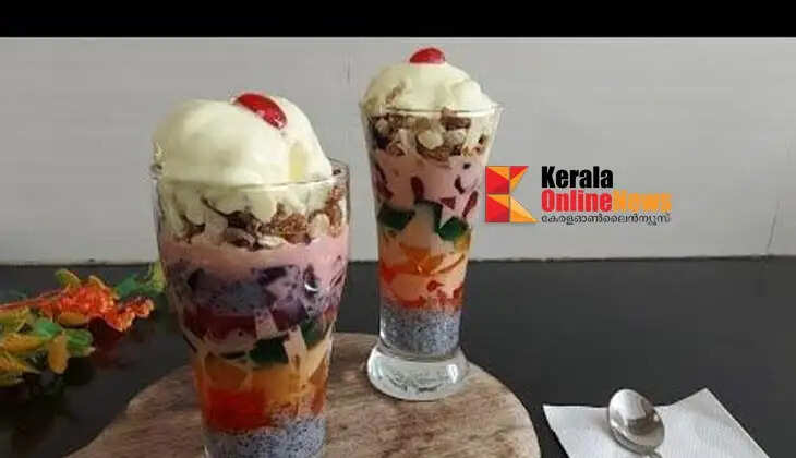 dryruiFalooda