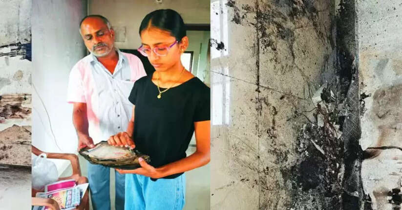 Phone explodes while charging, catches fire; Palakkad student's certificates burnt