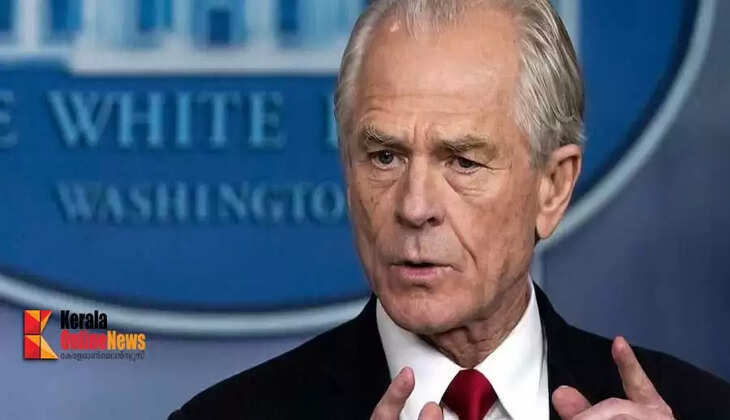 peter navarro
