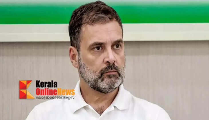 'Court does not consider it appropriate to hear this case any further': Judge recuses himself from hearing Rahul Gandhi's dual citizenship case