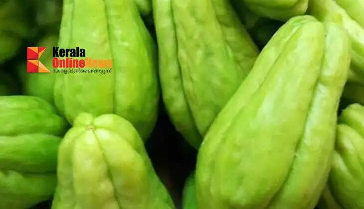 Chayote