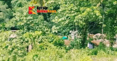 Wild elephant killed in Kannur Kottiyoor Palchuram incident; Forest Department begins investigation