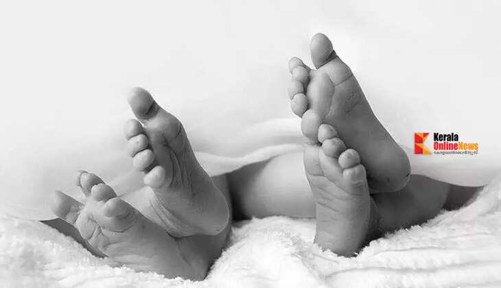 twins baby