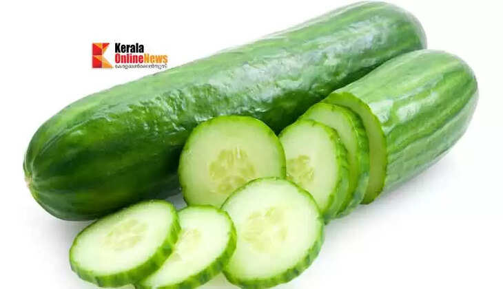 cucumber