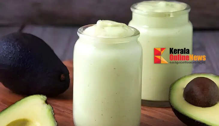 avocado shake