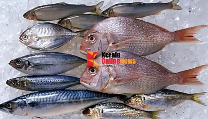 eat fish