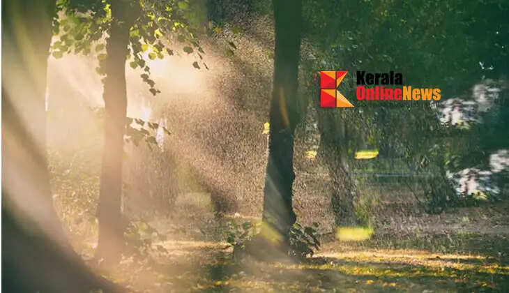 Heat and summer rain in the state; Alert issued