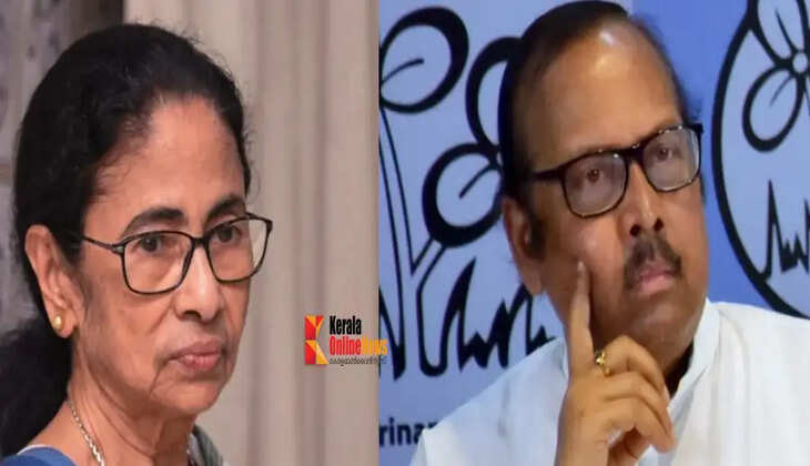tmc mp
