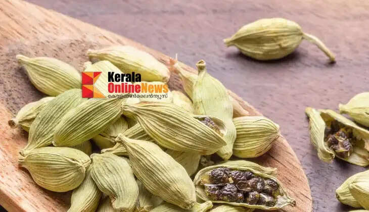 cardamom