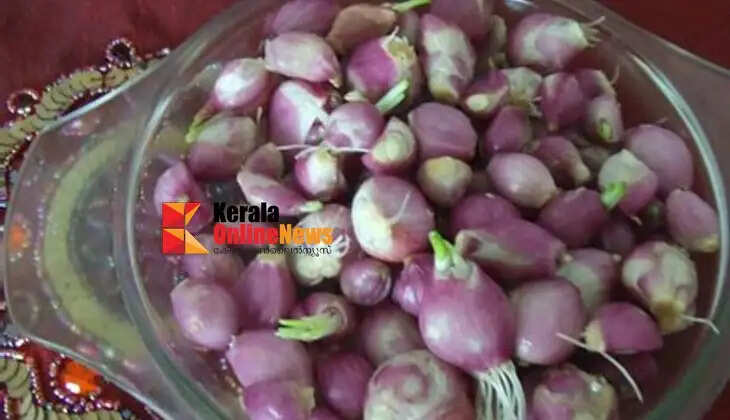 onion