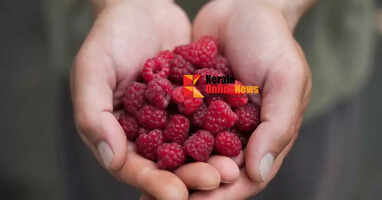 rasberry