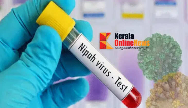 Nipah infection; Sample sent to Pune Virology Institute also tested positive