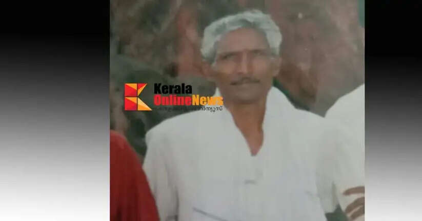 Plantation worker dies in wild elephant attack in Wayanad