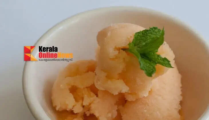 Mango Melon Sherbet