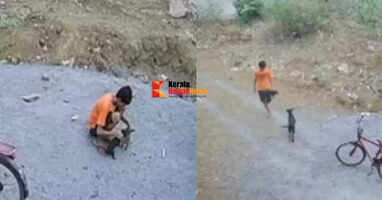 Chhattisgarh: 15-year-old man throws puppies into well after stabbing them to death