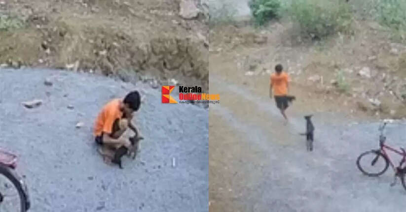 Chhattisgarh: 15-year-old man throws puppies into well after stabbing them to death