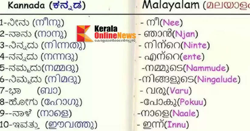 Language Institute to release Kannada-Malayalam dictionary