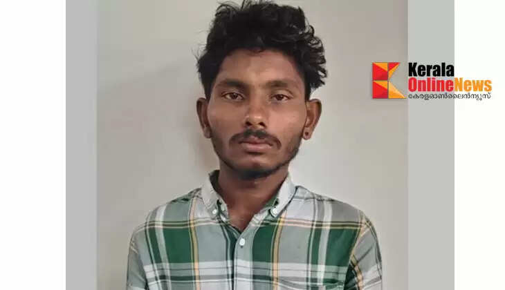 A youth was arrested in Kalpetta for trying to steal a gold earring from a child while he was playing in the backyard by covering his mouth.