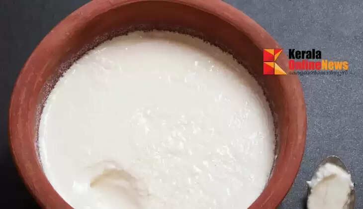 Curd can be prepared at home.