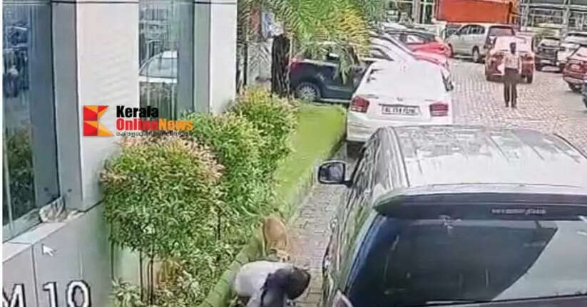 In Kannur a stray dog that bit about fifty people was found dead