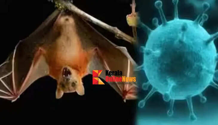Nipah